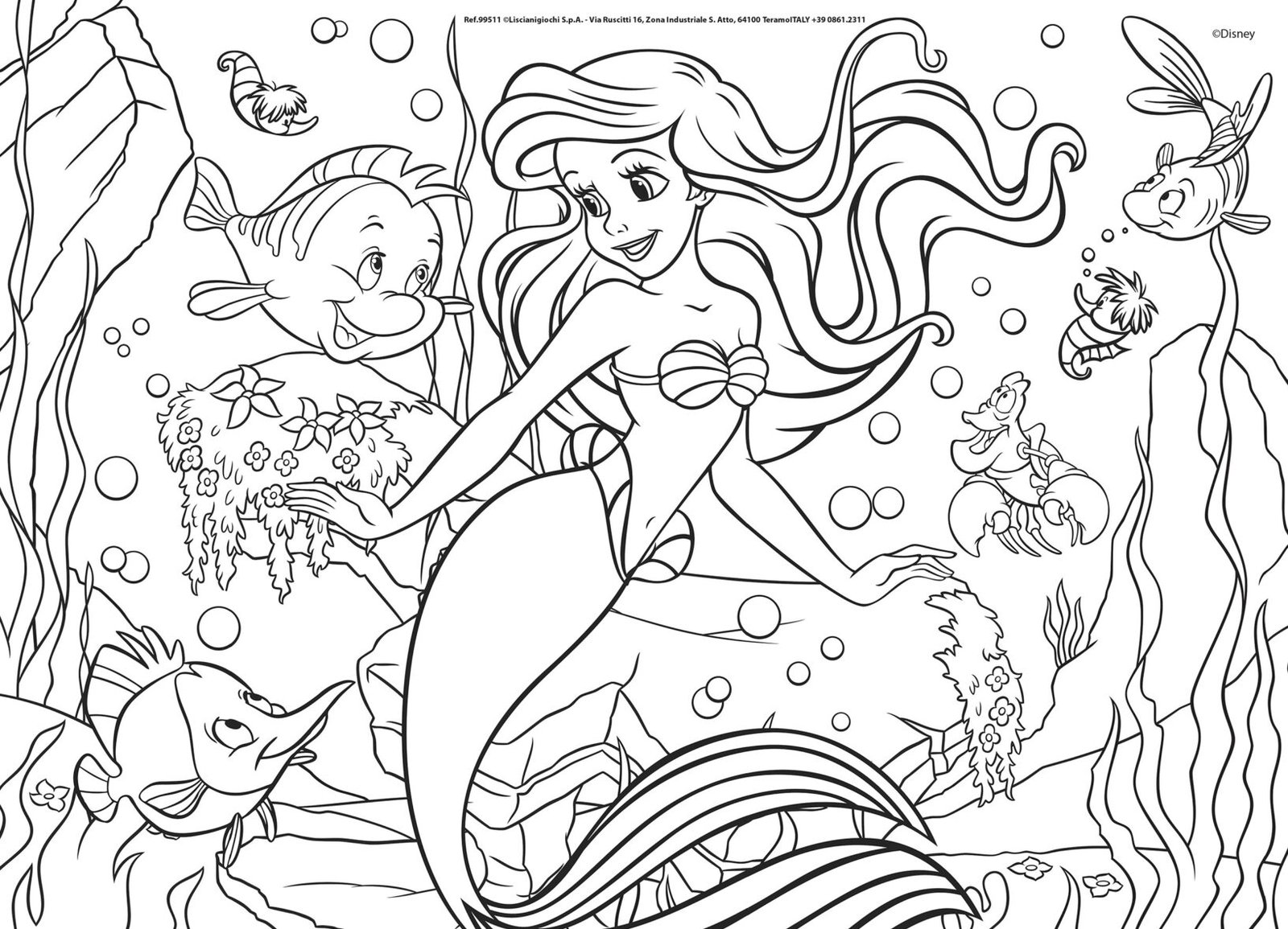Puzzle Double-Face Ariel – 48 pièces – Format Compact – Lisciani