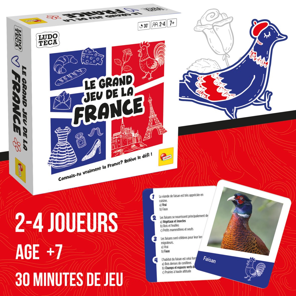 Ludoteca Le Grand Jeu De La France