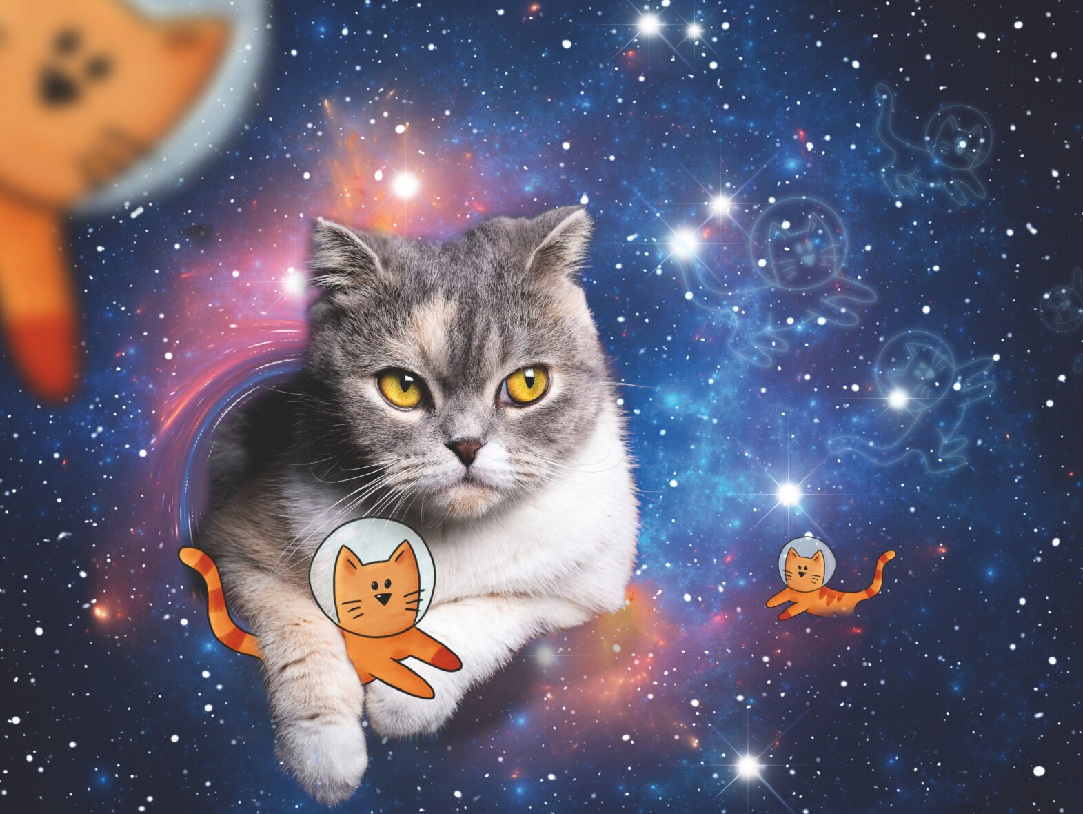Ravensburger Puzzle Chats dans l’espace 1500 pièces