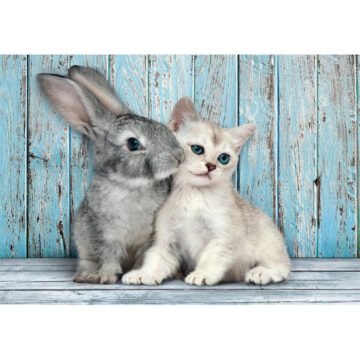 Clementoni - Puzzle Cat & Bunny 500 pièces
