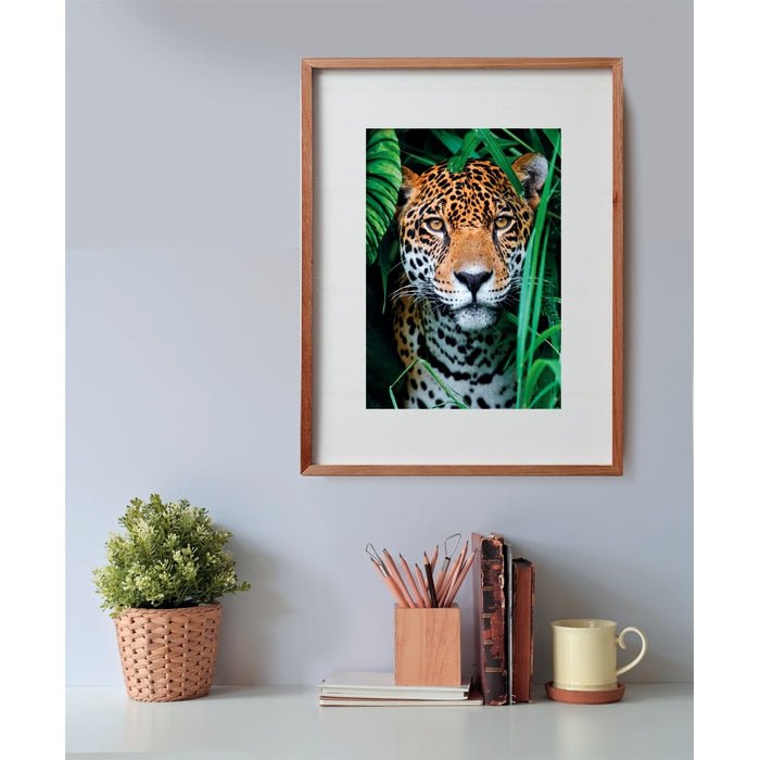 Clementoni – Puzzle 500 pièces – Jaguar in the Jungle