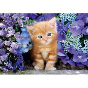 Ginger Cat – Puzzle 500 pièces