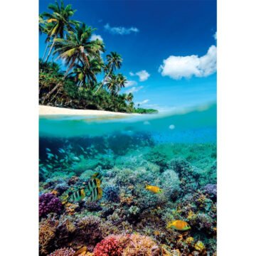 Clementoni Summer Paradise - Puzzle 1000 pièces
