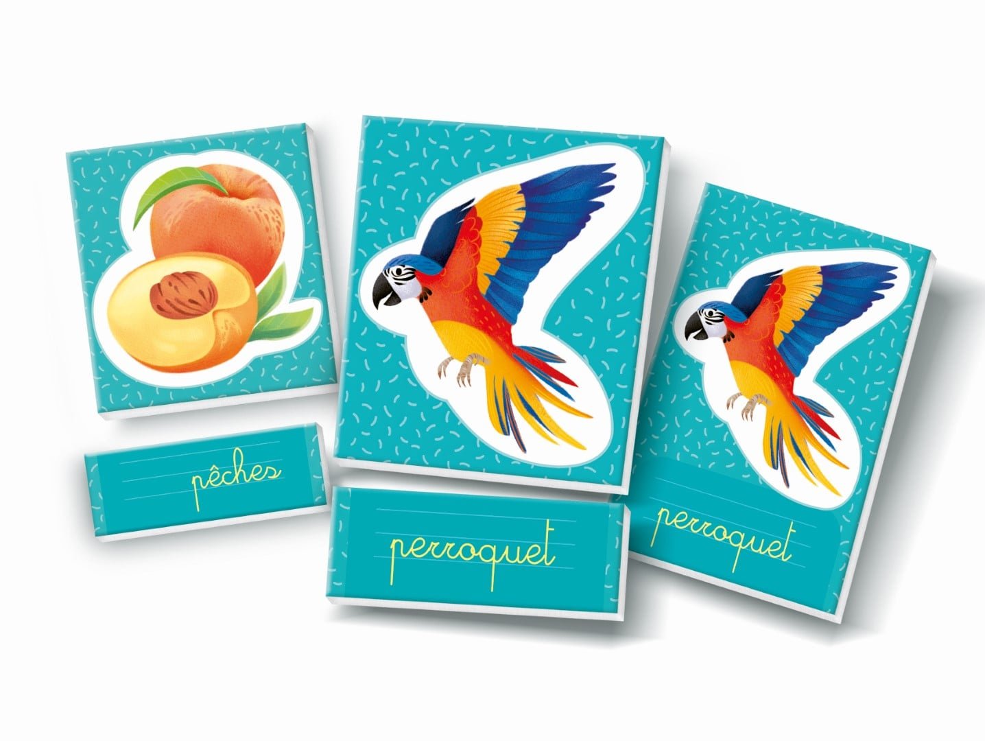 Montessori – Les mots en images