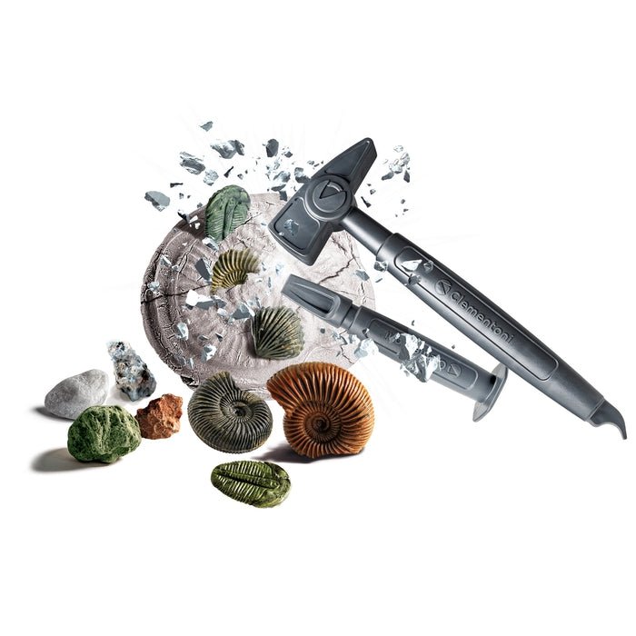 Fossiles et Minéraux – Science & Jeu