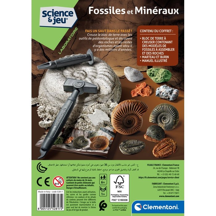 Fossiles et Minéraux – Science & Jeu