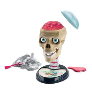 Clementoni - Crazy Anatomy - Science & Play Lab
