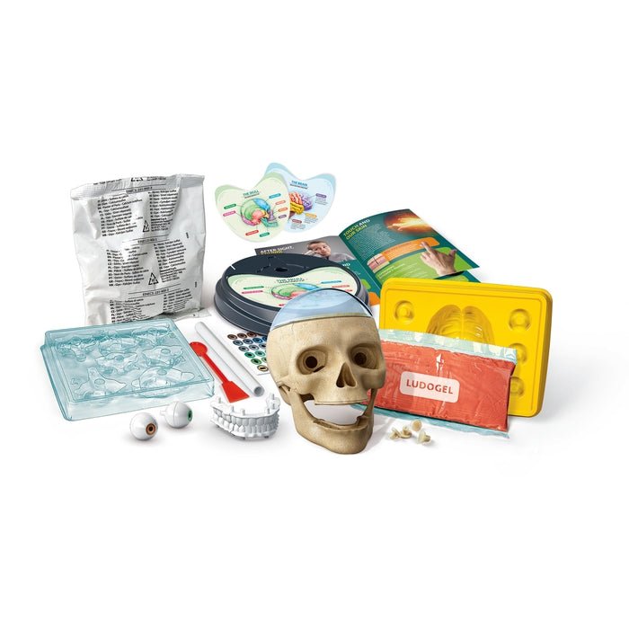 Clementoni – Crazy Anatomy – Science & Play Lab
