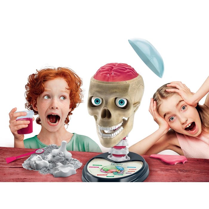 Clementoni – Crazy Anatomy – Science & Play Lab