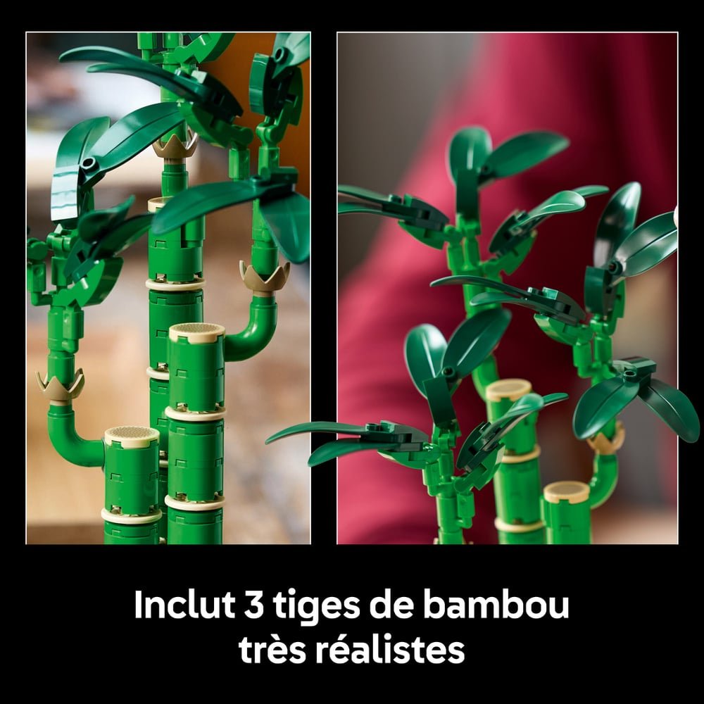 LEGO Icons 10344 Bambou de la Chance