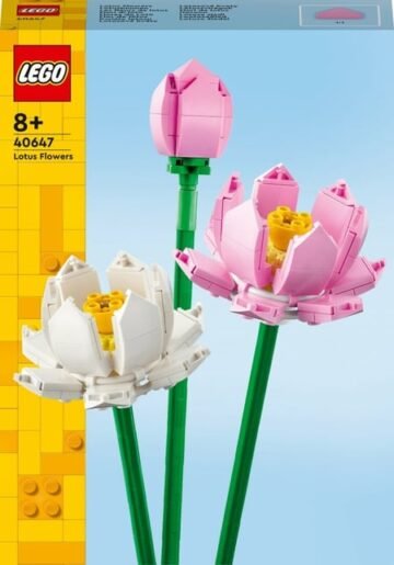 LEGO Iconic 40647 - Les Fleurs de Lotus