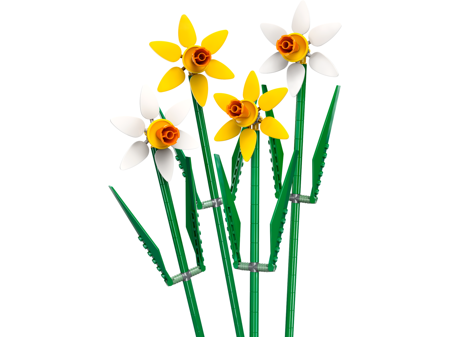 LEGO Iconic 40747 Les Jonquilles