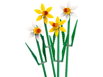 LEGO Iconic 40747 Les Jonquilles