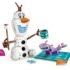 LEGO Disney 43287 Le pique-nique d’Olaf et Bruni